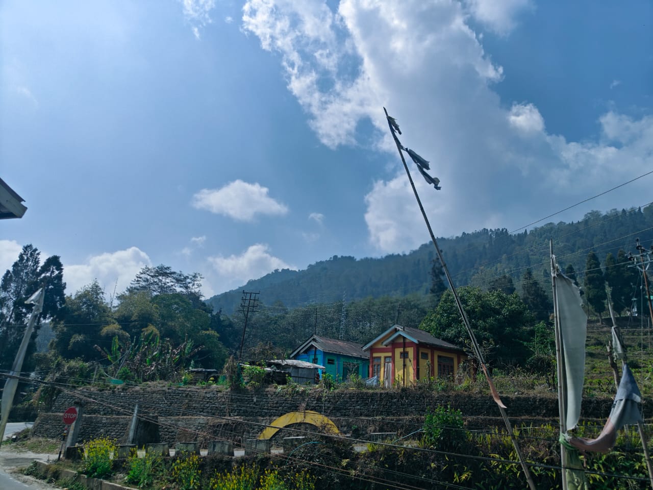 Royoporus Eden Farmstay