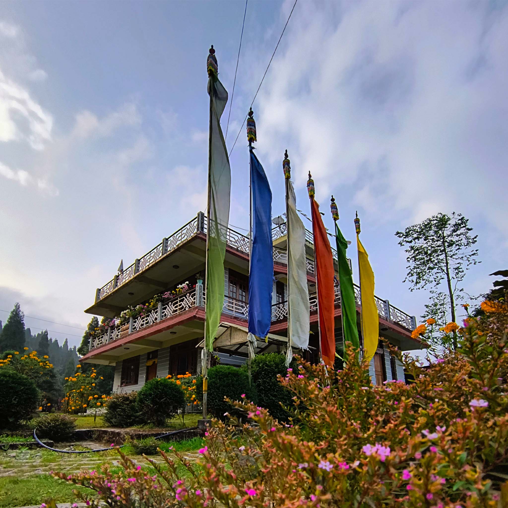 Royoporus Pine View Farmstay